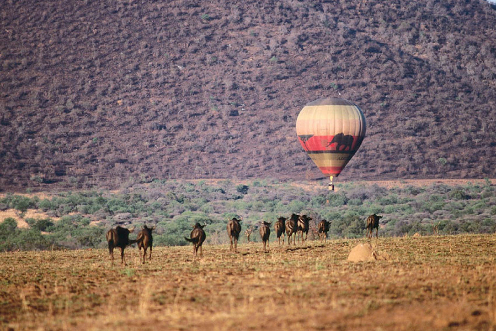 Pilanesberg National Park. Hot air balloon 